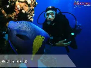 poseidon dive center